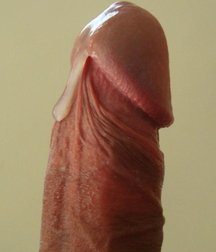 Twinking Tuesday 5d6e515d33803.jpg