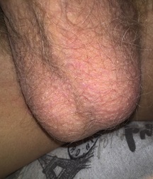 My dick 5d3d3ac5a831b.jpg