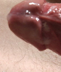 Twinks 170 5d710640eba46.jpg