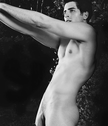 Twinks 225 5dc3165569c74.jpg