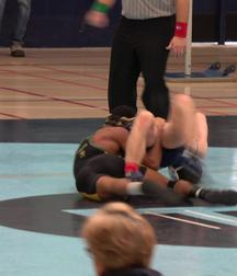 Wrestling 5d185896cced0.jpg