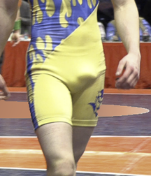 Wrestling 5d1858aa169cb.png