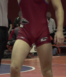 Wrestling 5d1858af42566.png