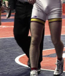 Wrestling 5d1858ba2e78e.png