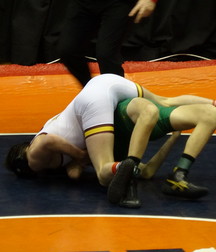 Wrestling 5d18592ca1b8a.jpg