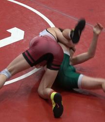 Wrestling 5d18593101c6e.jpg