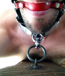 Collared Boys 5d1beaecb884f.jpg