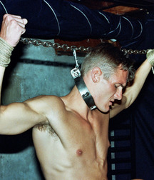 Collared Boys 5d1beaeddf8aa.jpg