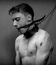 Collared Boys 5d1beafaae38f.jpg