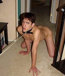 Puppies in Training 5d1becc8d10c4.jpg