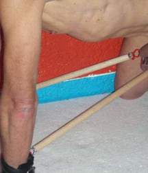 Puppies in Training 5d1becd730610.jpg