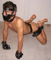 Puppies in Training 5d1bece2b483d.jpg