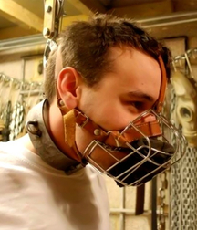 Puppies in Training 5d1becebb0a84.jpg