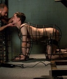 Puppies in Training 5d1becef19b50.jpg