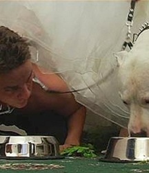 Puppies in Training 5d1becf81a89a.jpg