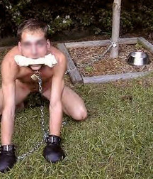 Puppies in Training 5d1bed0a86478.jpg