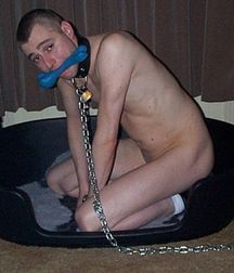 Puppies in Training 5d1bed0b938c3.jpg