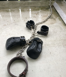 Puppies in Training 5d1bed1cd8819.jpg