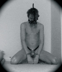 Puppies in Training 5d1bedeed9ea8.jpg