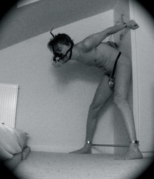 Puppies in Training 5d1bedf0172b5.jpg