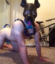 Puppies in Training 5d1bedf77344b.jpg