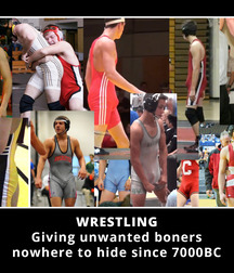 Wrestlers in Action 5d1c0c508ba28.jpg