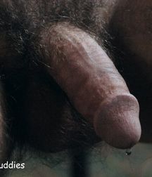 Brodie - Dream On 5d1fad1221567.jpg