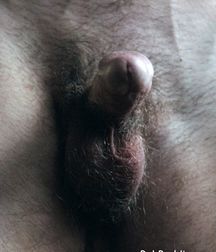 Brodie - Dream On 5d1fad23a1ec9.jpg