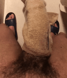 Hottest Boys Around  5de6edf54b487.gif