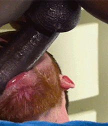 Hottest Boys Around  5e698960362e3.gif