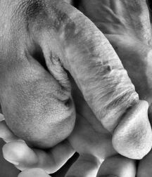 All kind of heads - une question de gland boys porn 62d8e66cc1763.jpg