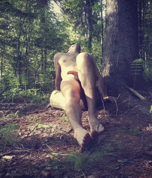 Nude guy in nature 5d7566619d299.jpg