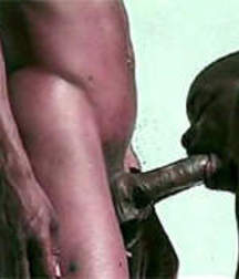 Oldies but Goodies- Black Cock 5d594c846ceea.jpg
