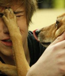 Boys and Their Animals 5df820382aa39.jpg