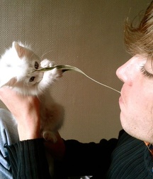 From JOK Boys and Cats No Porn 5eb63a4f7247e.jpg