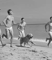 Opening day 2.0 Gay Boys Porn 60cd31070c7c4.png