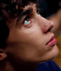 Yeah photos of the day  61ec2d2be063e.gif