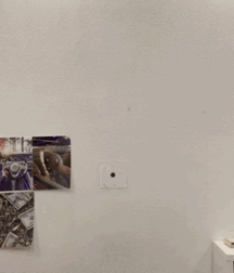 Duck duck hot stuff here  624fd56e4a5f9.gif