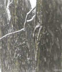 Weekend what do I know set  boys porn 62c0a56ff052a.gif