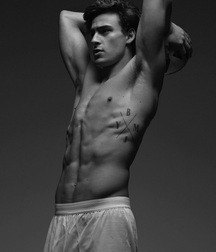 Trees are for outside these guys are for your dreams  62c389611fb19.png