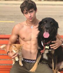 All them abs baby twink tube
