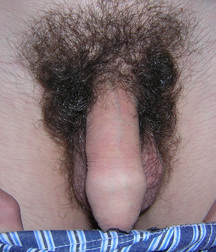 Valja 5d7b4d20f06d9.jpg