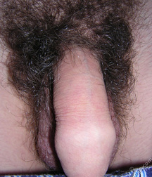 Valja 5d7b4d24568ba.jpg