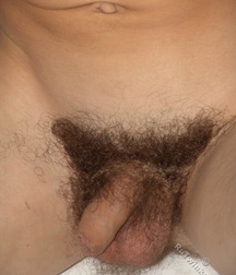 Gorja 5d7c89c29d17e.jpg