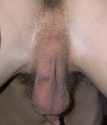 Edik B 5d998d934bb2c.jpg
