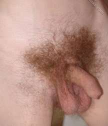 Kusha  5d9ad629430ec.jpg