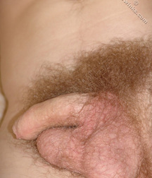 Kusha  5d9ad75498bcd.jpg