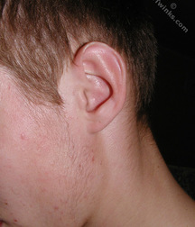 Makedonski 5d9c39dc3a26d.jpg