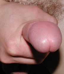 Makedonski 5d9c39e9bb639.jpg