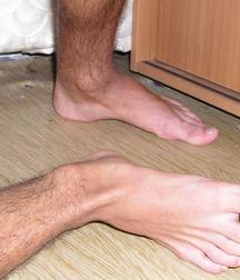Larry 5da568330bd99.jpg